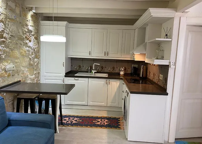 Oezel Tasarimli Tarihi Tas Ev *