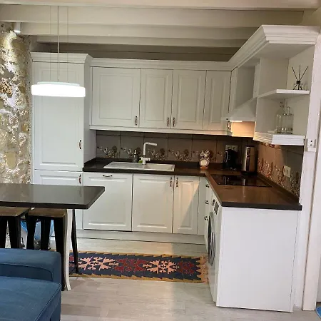 Oezel Tasarimli Tarihi Tas Ev *