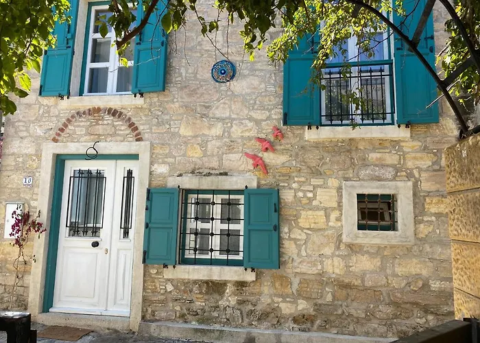 Nyaraló Oezel Tasarimli Tarihi Tas Ev